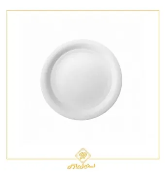 بشقاب تخت توس چینی