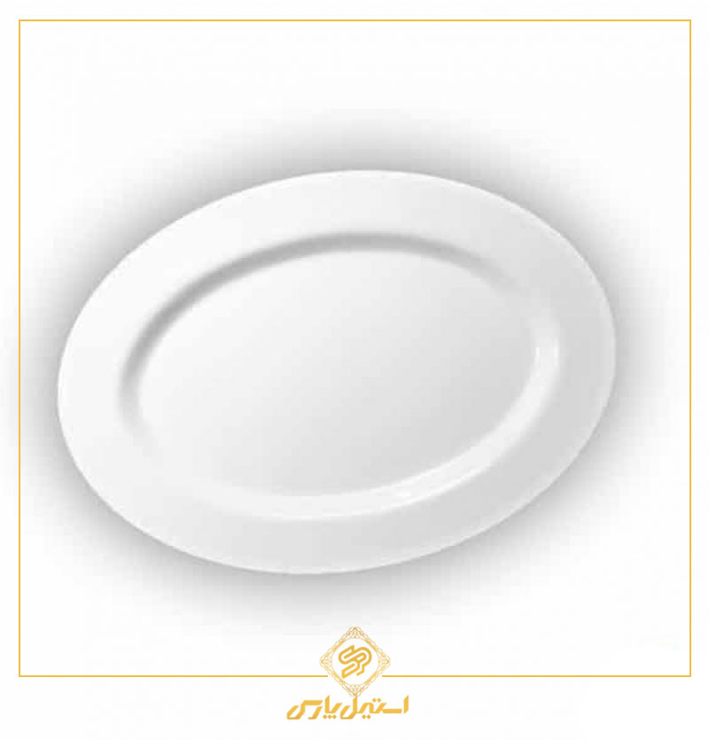 دیس مرغ بیضی 310